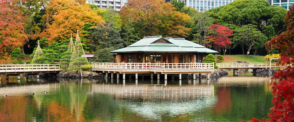 紅葉（潮入の池周辺）